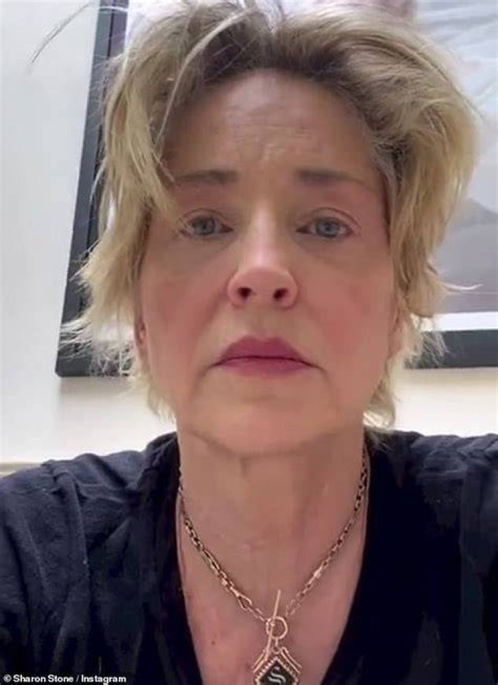 Photo shared by Sharon Stone on Instagram May 2023 featuring one of her abstract artworks.